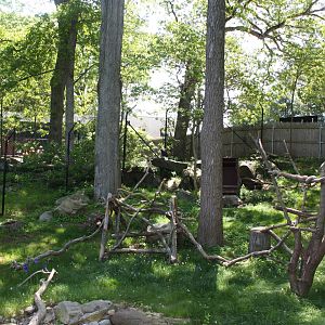 Alligator Alley- Bald Eagle Exhibit