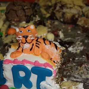 Carousel- The Delicious Frosted Tiger