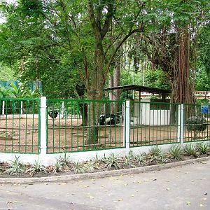 Ostrich Paddock at Saigon Zoo, 16/03/12