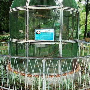 Giant Squirrel Cage at Saigon Zoo, 16/03/12