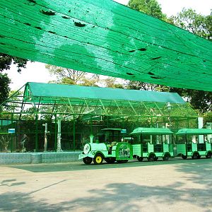 Wader Aviary and Road Train at Saigon Zoo, 16/03/12