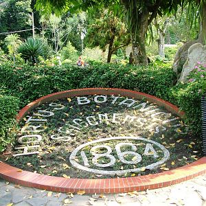 Botanical Garden Display at Saigon Zoo, 16/03/12