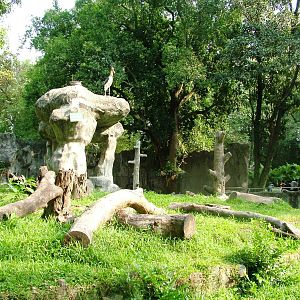 Bear Exhibit at Saigon Zoo, 16/03/12
