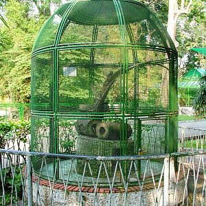 Ferret-Badger Enclosure at Saigon Zoo, 16/03/12