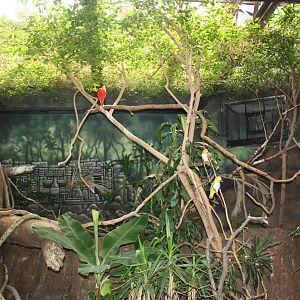 NWTB- Free-flight Aviary