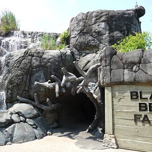 Black Bear Falls - Tunnel Entrance