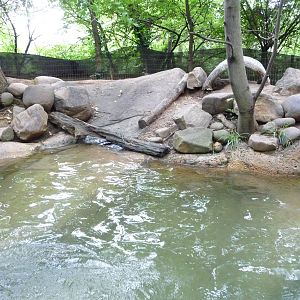River Otter Exhibit