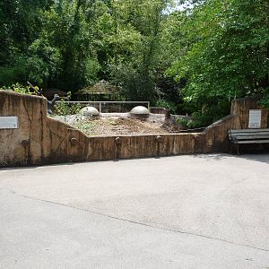 Prairie Dog Exhibit