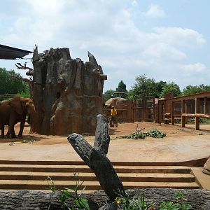 African Elephant Exhibit