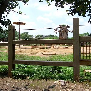 African Elephant Exhibit