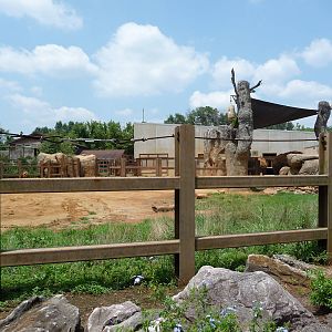 African Elephant Exhibit