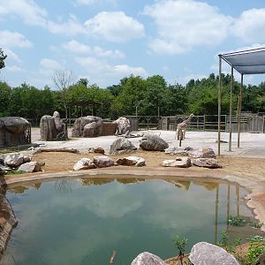Giraffe/Greater Kudu/Waterbuck/Thomson's Gazelle Exhibit