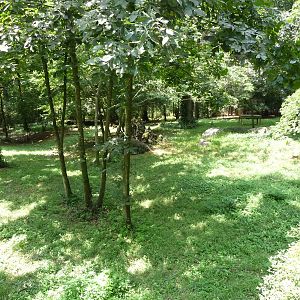 1-Acre Cheetah Exhibit