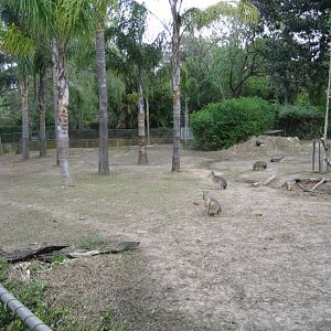Mara Enclosure