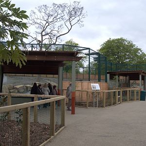 New Asian Lion Enclosure I - Dublin Zoo, May 2012