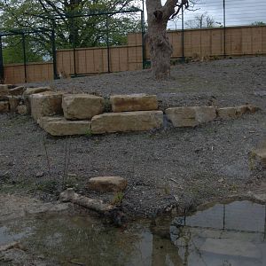 New Asian Lion Enclosure II - Dublin Zoo, May 2012