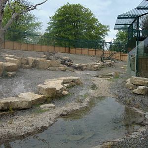 New Asian Lion Enclosure III - Dublin Zoo, May 2012