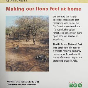 New Asian Lion Enclosure IV - Dublin Zoo, May 2012