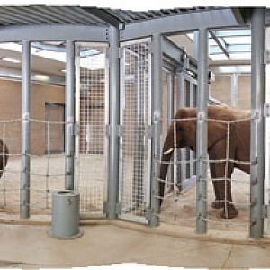 elephant barn interior