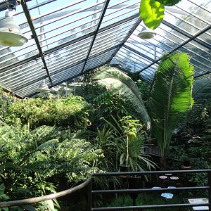 Inside the Butterfly House