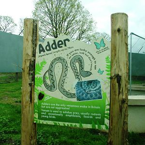 Adder Exhibit at West Mids, 05/05/12