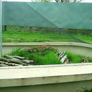 Adder Exhibit at West Mids, 05/05/12