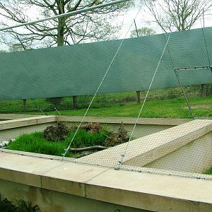 Adder Exhibit at West Mids, 05/05/12