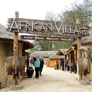 African Village at West Mids, 05/05/12