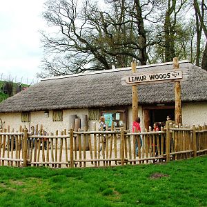 African Village at West Mids, 05/05/12