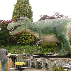 Dinosaurs being installed