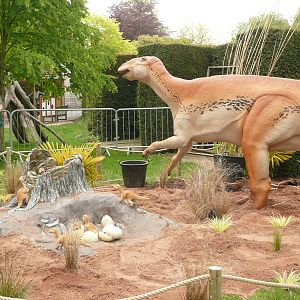 Dinosaurs being installed