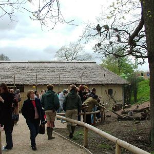 Lemur Walkthrough at West Mids, 05/05/12