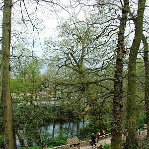 Lemur Walkthrough at West Mids, 05/05/12