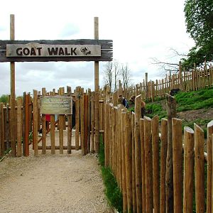 Goat Walk at West Mids, 05/05/12