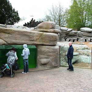 Penguin Exhibit at West Mids, 05/05/12