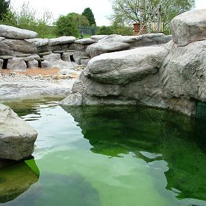Penguin Exhibit at West Mids, 05/05/12