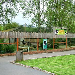 Ruffed Lemur Exhibit at West Mids, 05/05/12