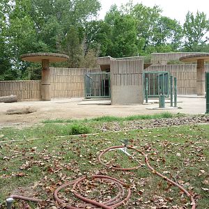 African Elephant Exhibit