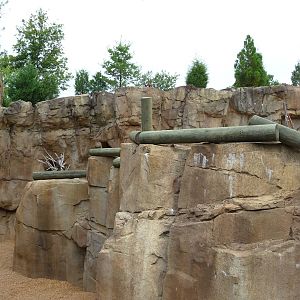Northwest Passage - Polar Bear Exhibit