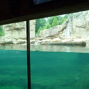 Northwest Passage - Polar Bear Exhibit