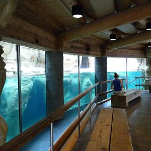 Northwest Passage - California Sea Lion Exhibit