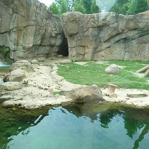 Northwest Passage - Black Bear Exhibit