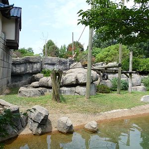 Primate Canyon - Sulawesi Macaque Exhibit