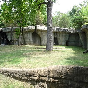 Primate Canyon - Orangutan/Siamang Exhibit