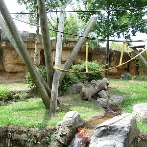 Primate Canyon - Gorilla Exhibit