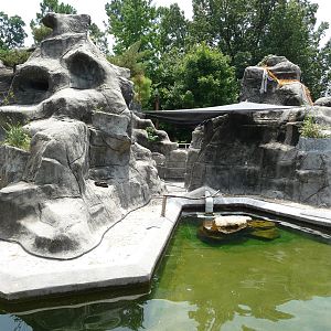 Penguin Rock - African Black-Footed Penguin Exhibit