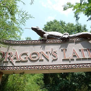 Dragon's Lair - Komodo Dragon Exhibit