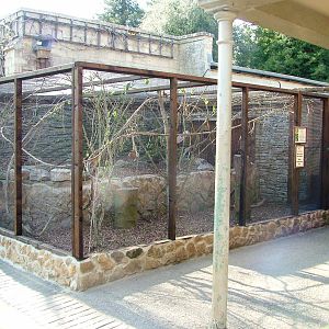 Squirrel Exhibit at Cotswold WP, 12/05/12