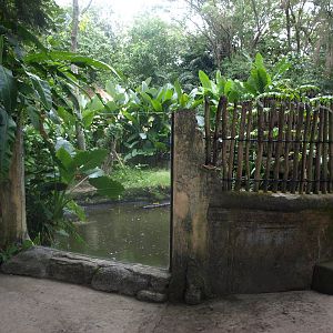 Viewing area for Estuarine crocodiles