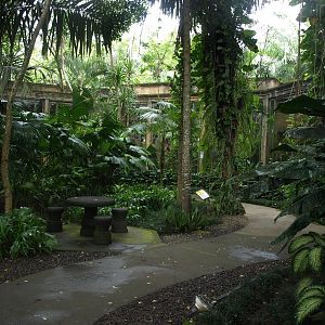 View towards gibbon cages